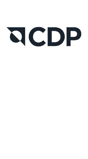 cdp-01-01.jpg